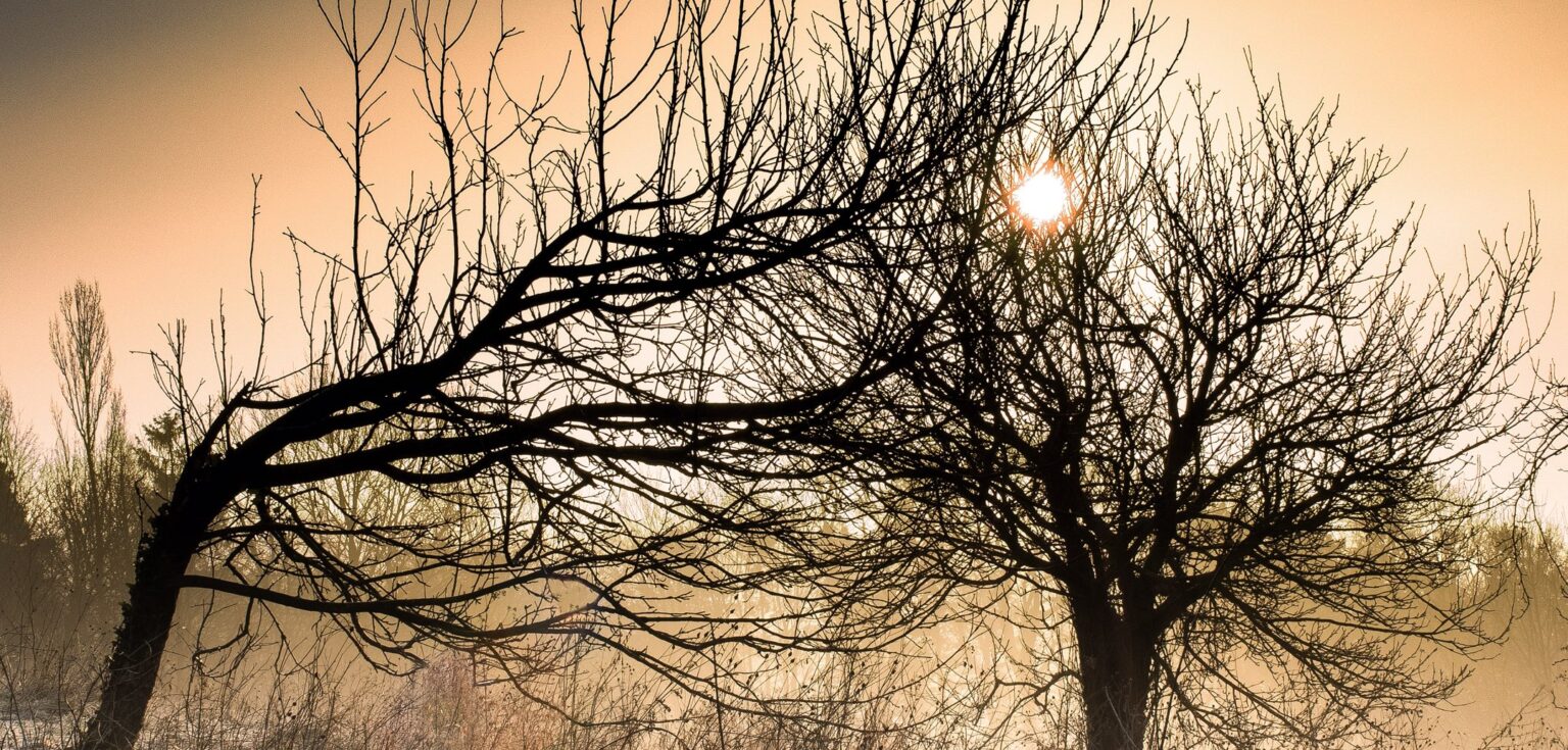 Andrej Bán píše muslimskej komunite na Slovensku: Som s vami