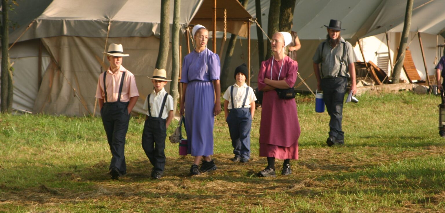 Prezidentské volby v USA: jak budou volit amiši?